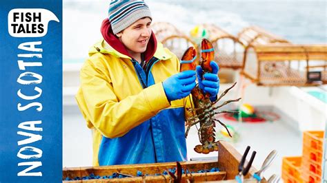 Sustainable Lobster Fishing In Nova Scotia Bart Van Olphen Youtube