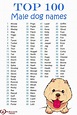 Male Dog Names List, Cute Male Dog Names, Cute Animal Names, Cute Puppy ...