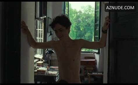 Timothee Chalamet Armie Hammer Sexy Scene In Call Me By Your Name Aznude Men