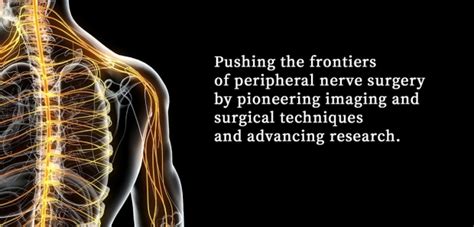 Division Of Spine And Peripheral Nerve Surgery Neurosurgery