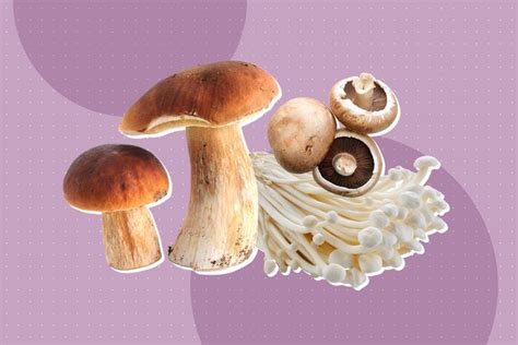 How To Tell If Mushrooms Are Bad