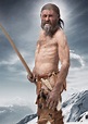 Ötzi – Der Mann aus dem Eis - Mistelbach