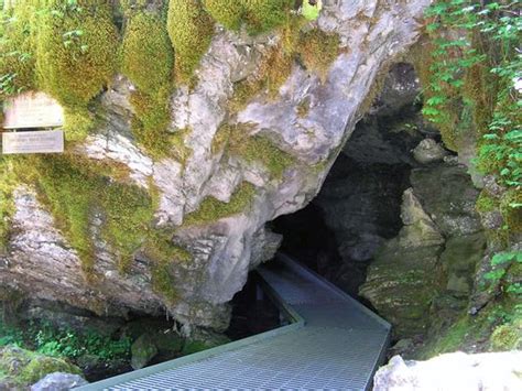 The 5 Best Adventures At The Oregon Caves National Monument And Preserve