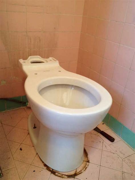 How To Install An American Standard Cadet 3 Toilet No
