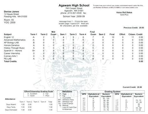 Shouldn't be flimsy or bendable. Fake College Report Card Template (6) - TEMPLATES EXAMPLE ...