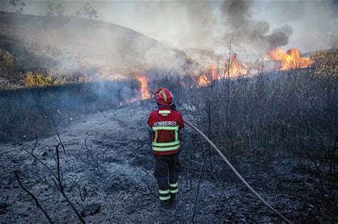 Ler mais · destaque local regional . Cinco meios aéreos combatem incêndio em Monchique