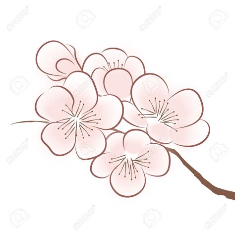 Flowers Drawing Images At Getdrawings Free Download