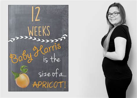 Bumpdate 12 Weeks Pregnant Baby Is The Size Of A Apricot 12 Weeks