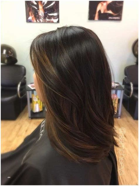 Black hair highlights are all the rage right now. 12 Hottest Fall/Winter Hair Color Ideas for Women 2020 ...