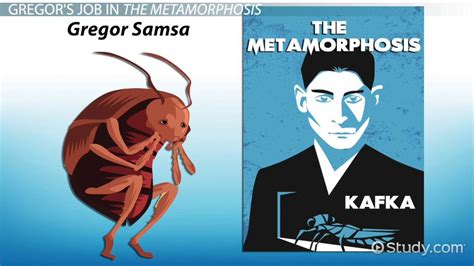 The Metamorphosis Quotes About Work And Gregors Job Lesson