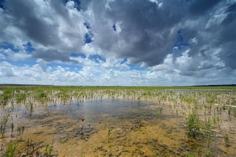 Autumn Cloudscape Over Habitat Restoration Project In Everglades