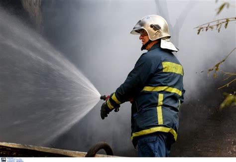 Άμεση ήταν η κινητοποίηση της πυροσβεστικής. Χαλκιδική: Φωτιά σε χωράφι με ξύλα κι ξερά χόρτα στο Λάκκωμα