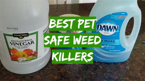 Pet Friendly Weed Killer Nawaddesign