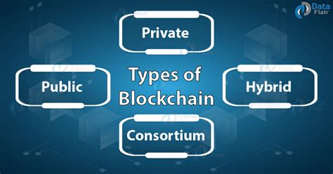 Types Of Blockchains Decide Which One Is Better For Your Investment
