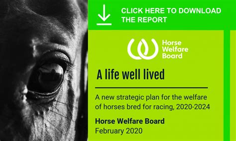 Horse Welfare Board British Horseracing Authority