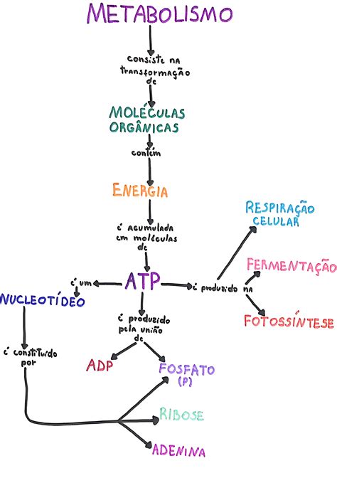 Mapa Mental Sobre Metabolismo Energético
