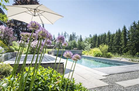 Maybe you would like to learn more about one of these? Naturpool-Paradies im Garten | schwimmbad.de