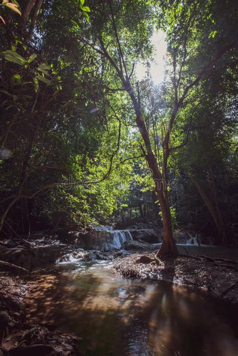 Waterfall Green Forest River Stream Landscape Waterfall Hidden In The