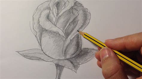 Lapiz Como Dibujar Una Rosa Facil Dibujar Una Rosa Es Algo Muy