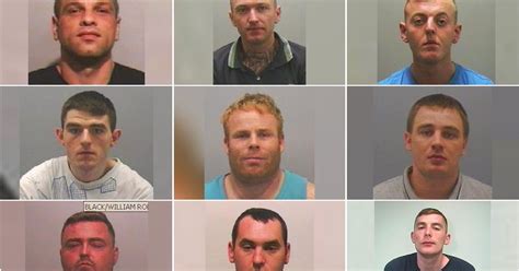 North East Criminal Gang Behind £900000 Burglary Spree Jailed For 30 Years Chronicle Live