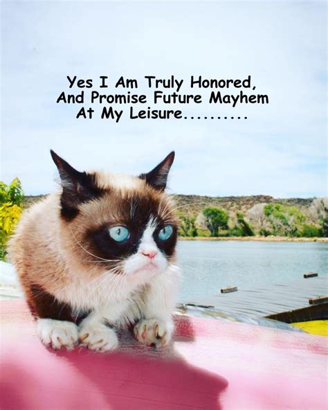 Grumpy Cat By Gary September 2017