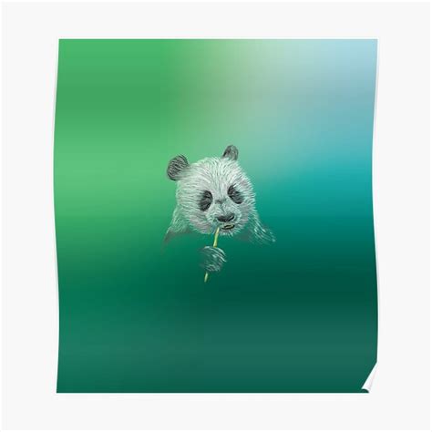 Panda Bear Chewing On Bamboo Poster For Sale By Linubidix Redbubble