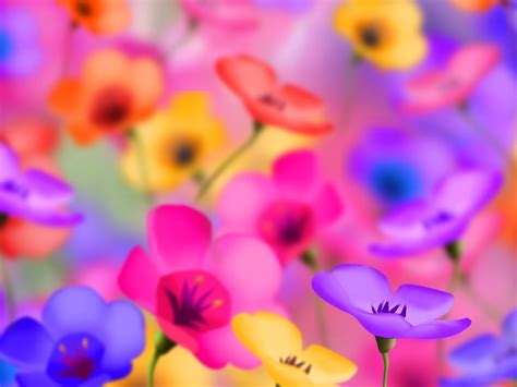 50 Beautiful Flower Wallpaper Images For Download