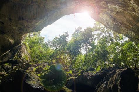Cueva Del Bosque Foto De Archivo Imagen De Monta Resorte 19023946