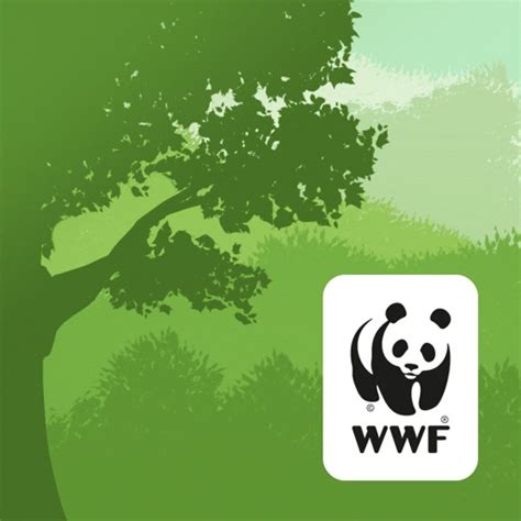 Wwf Forests By World Wildlife Fund