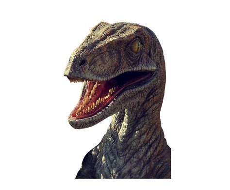 Jurassic Park Dinosaur Png Png All Png All