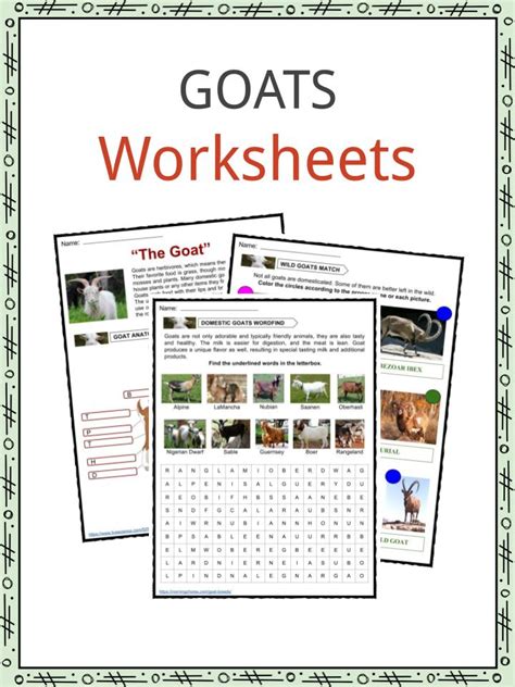 Goat Facts Worksheets Diet Behavior And Uses Information For Kids