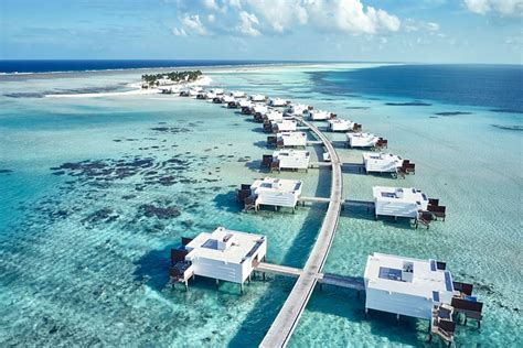 Hotel Dhaalu Atoll Maldives Hotel Riu Palace Maldivas Hoteles Riu