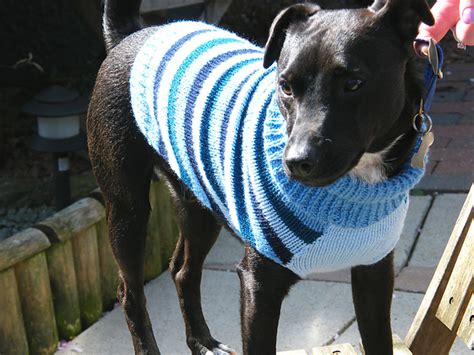 Ravelry Knitted Dog Jumper In Chunky Wool Pattern By Australian Women