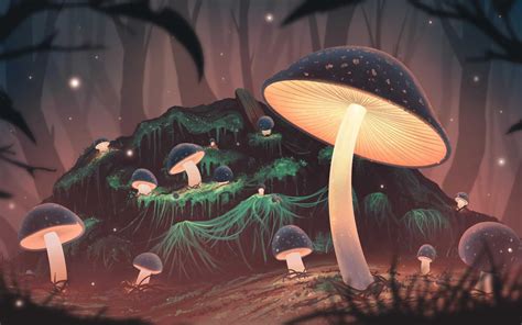 Mushroom Forest Wallpapers And Backgrounds 4k Hd Dual Screen