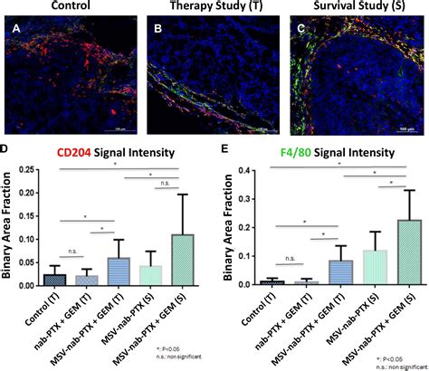 Frontiers Modeling Of Nanotherapy Response As A Function Of The Tumor