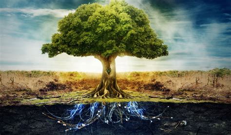 Sign up and download for free. 5 Things You Need to Know About The Tree of Life