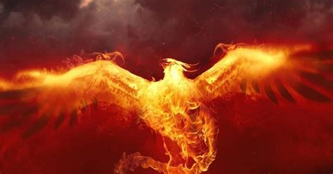Mythical Fiery Bird Phoenix In Mythologies Of Many Ancient Cultures