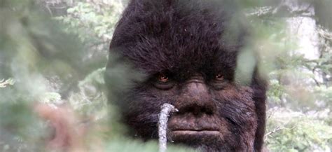 Discovering Bigfoot Is A Bigfoot Documentary Made By A Bigfoot Hoaxer