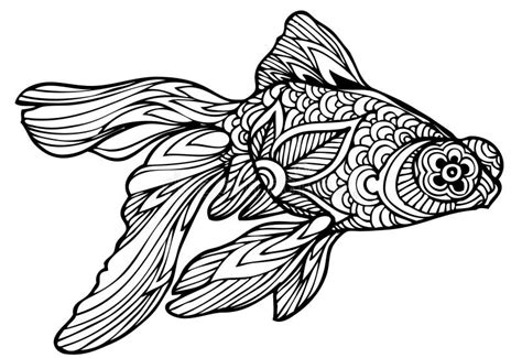 Zentangle Goldfish Stock Illustration Illustration Of Effect 104324886