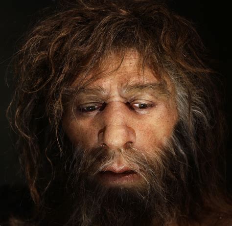 45000 Year Old Siberian Mans Genome Pinpoints When Neanderthals And Humans First Had Sex