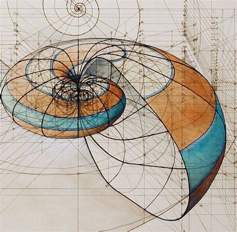 Calculated Shells Fibonacci Art Fibonacci Spiral Geometric Drawing Geometric Art Sacred