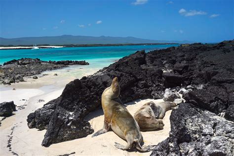 Ilhas Galápagos Equador Roteiros Os Melhores Tours Praias E Pontos