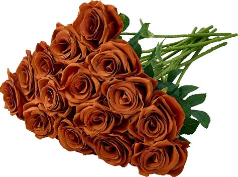 Amazon Carlitas Blooms Pcs Burnt Orange Fake Roses Artificial