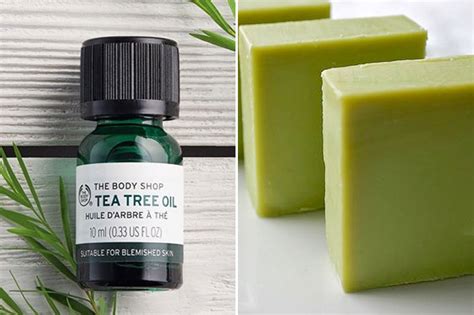 10 Best Tea Tree Oil Soaps For Better Skin The Organic Investment