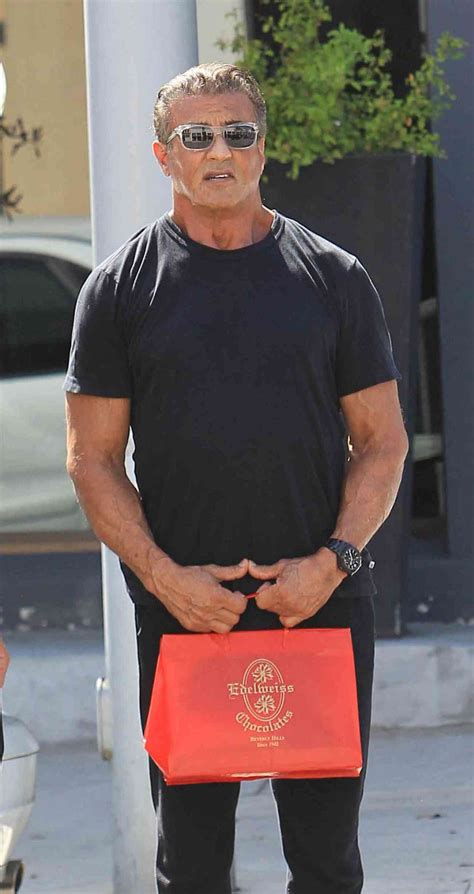 Sylvester Stallone Est Buscando Acci N Legal Contra La Mujer Que Lo