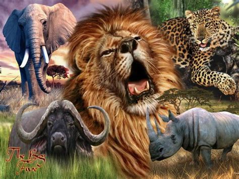 African Safari Africas Big 5 Animals Nature Wallpaper Realistic