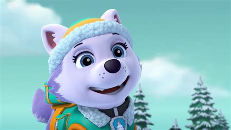 Paw Patrol Everests Paw Patrol Meet Everest Available On Nickelodeon