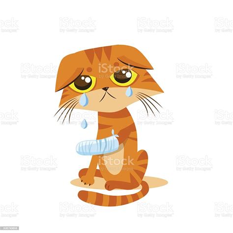 Kucing Menangis Sedih Ilustrasi Kartun Vektor Meme Kucing Menangis