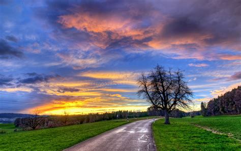Download 2560x1600 Road Sunset Grass Clouds Wallpapers For Macbook