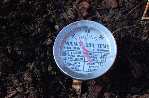 Take Your Gardens Soil Temperature Before Planting The Spokesman Review